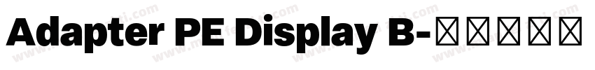 Adapter PE Display B字体转换